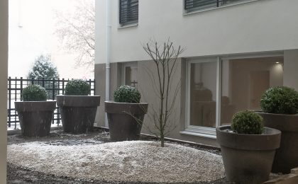 Jardin intérieur logement neuf