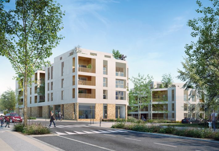 projet construction dardilly